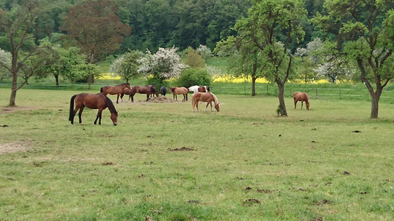 Ferienhaus Vom Bahratal Hausen  Bagian luar foto
